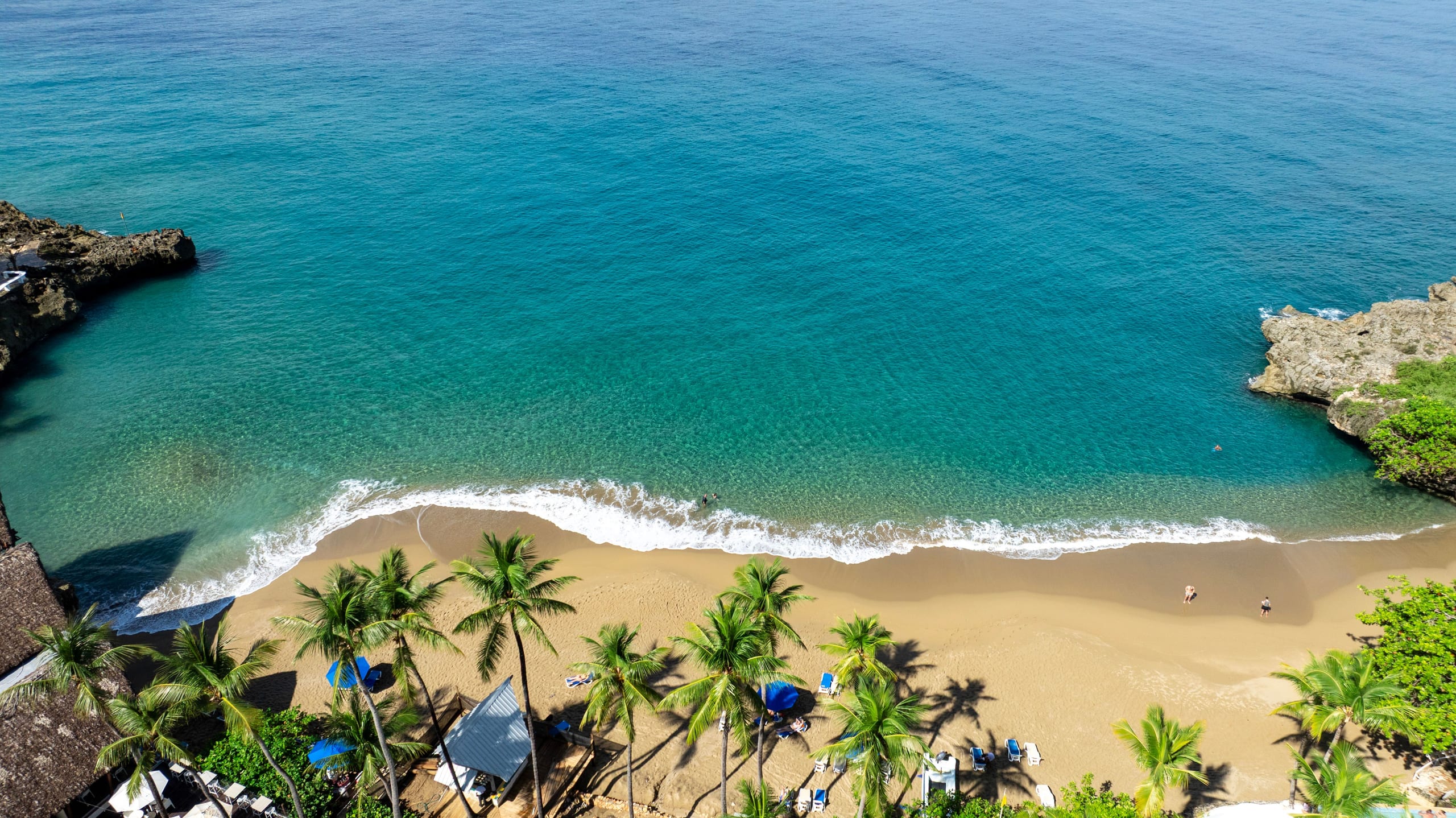 Aerial view of a palm-lined beach with turquoise water