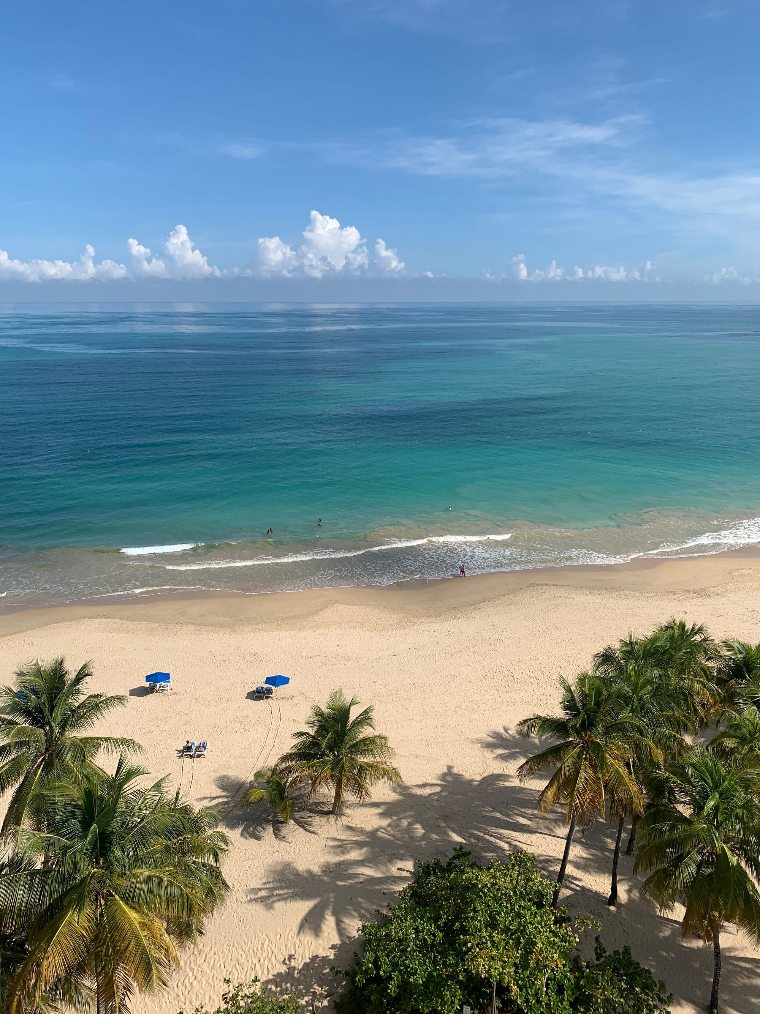 Beach with palm leaves and a calm blue ocean under a clear sky